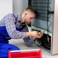 Fridge Electrical Component Repair